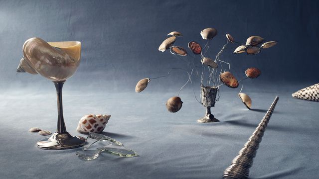Washed Ashore